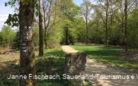 Naturerlebnispfad Hohe Bracht