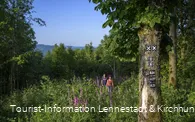 Wandern zwischen Fingerhüten