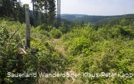 Aufstieg vom Krenkeltal zum Rothaarsteig
