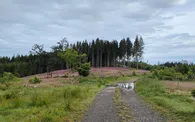 IMG20240618074114.jpg
