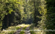 Wanderweg an der Einsiedelei