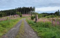 IMG20240618075909.jpg