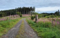 IMG20240618075909.jpg