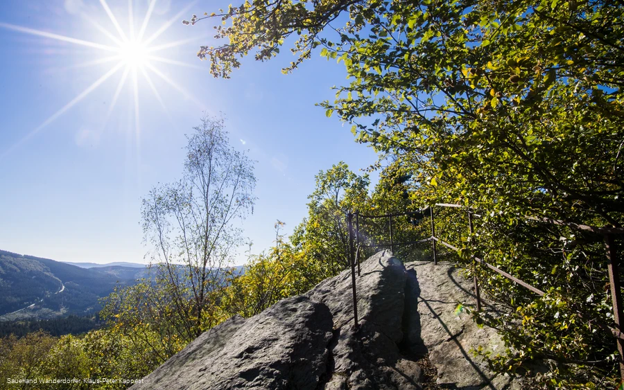 Ausblick vom Rinsleyfelsen Ausblick vom Rinsleyfelsen