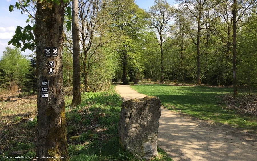 Naturerlebnispfad Hohe Bracht