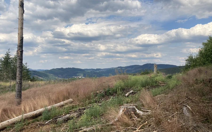 Wanderung Bilstein-Grevenbrück