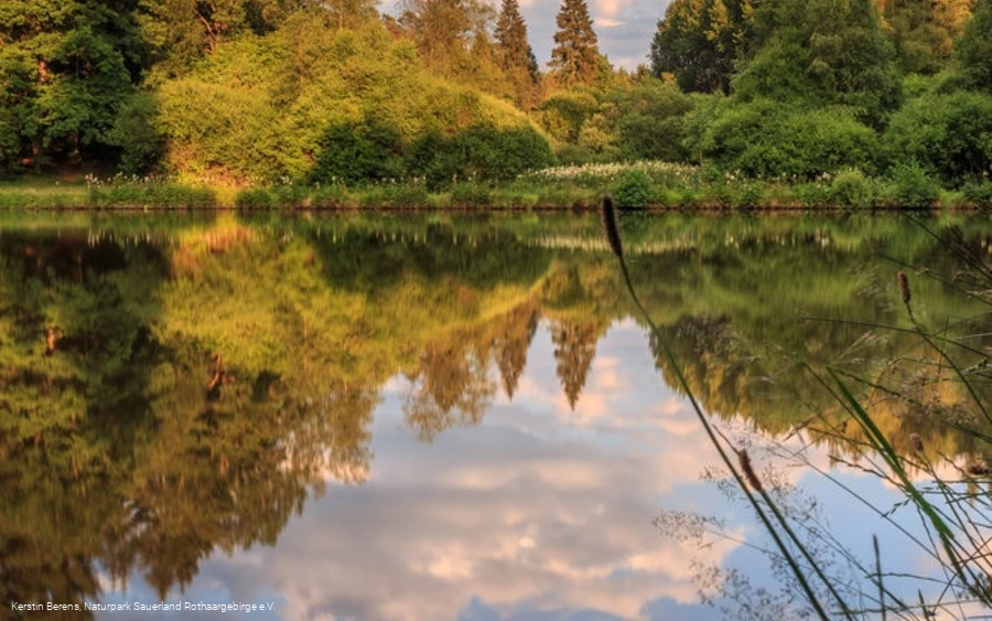 Impressionen des Dollenbrucher Weihers