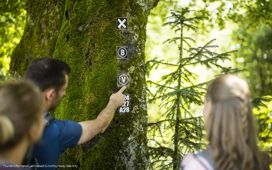 Wanderwegezeichen Wanderwegezeichen