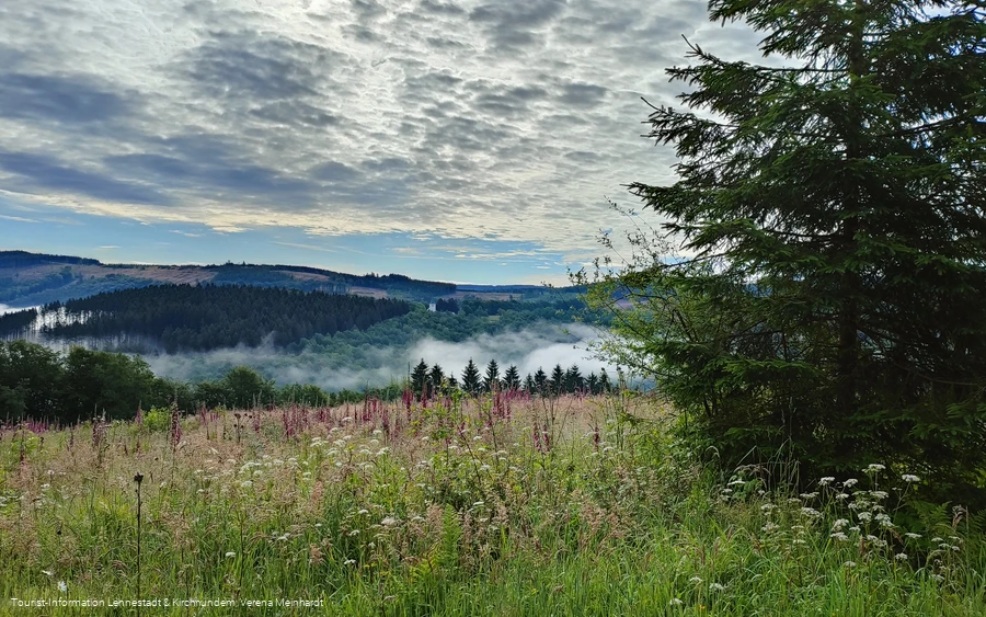 Ausblick von der Kophelle Richtung Kohlhagen