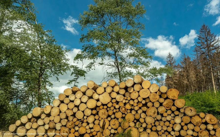 Holzstapel_©Otto Kordes