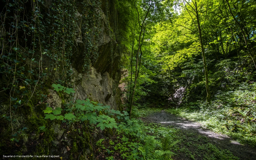 Sauerland-Seelenort: Steinbruch Peperburg