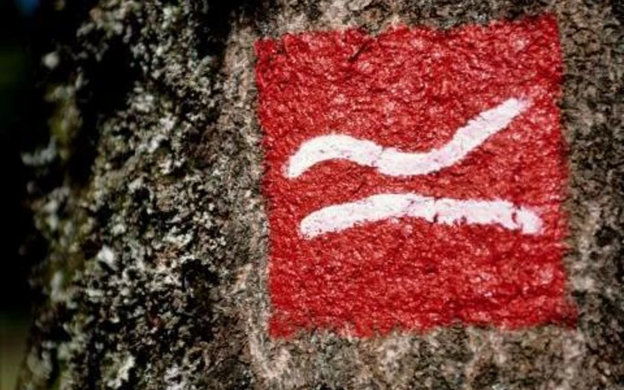 Rothaarsteig Logo Baum