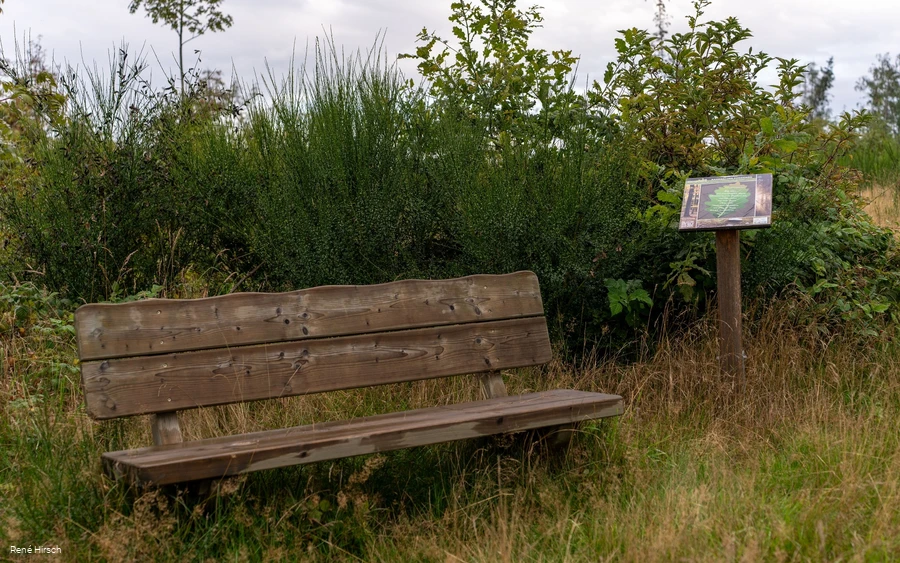 Verweil-Ort Einstimmung