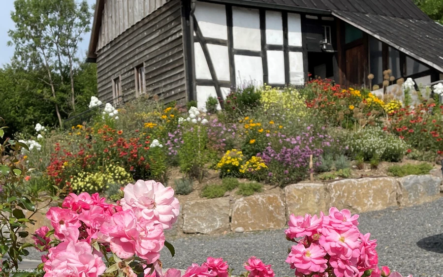 Cultivarium Schrabben Hof