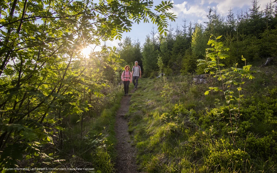 Wandern auf der Oberhundemer Bergtour