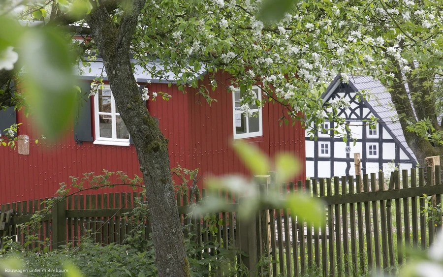 Bauwagen unter´m Birnbaum