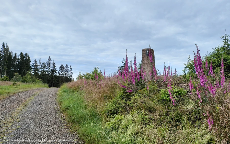Wegemarkierung auf der Kophelle