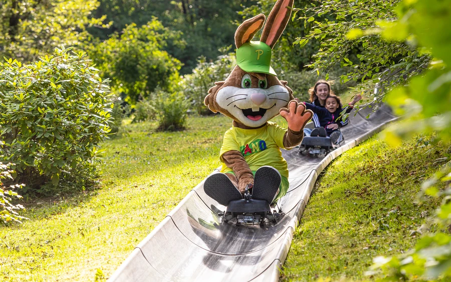 Panorama Park Fichtenflitzer mit Pano