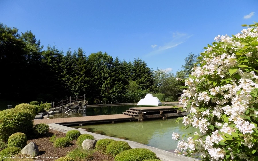 Naturerlebnisbad Saalhausen