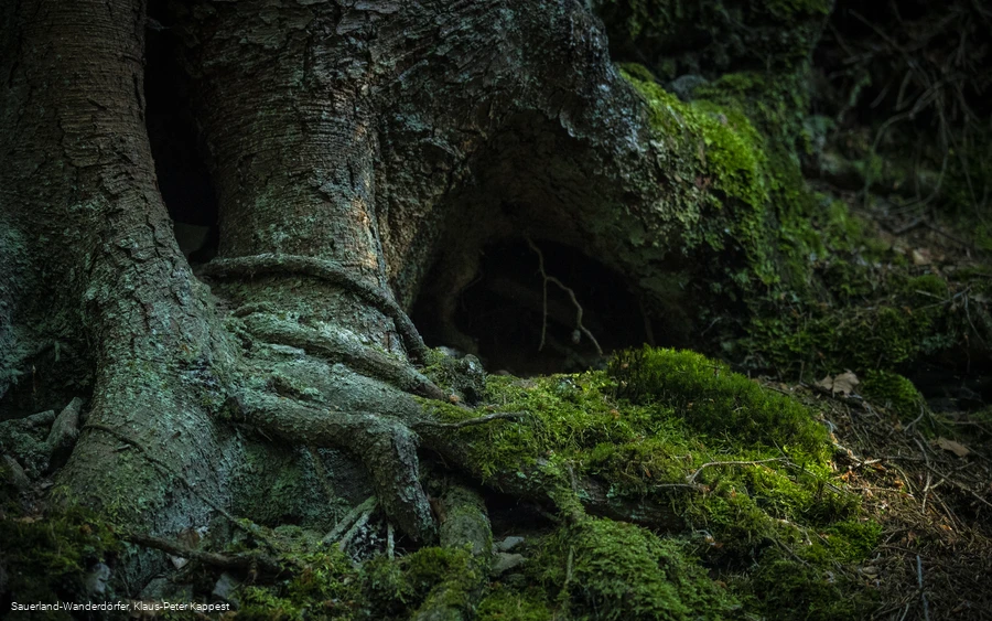 Steinbruch am Schinkenkeller