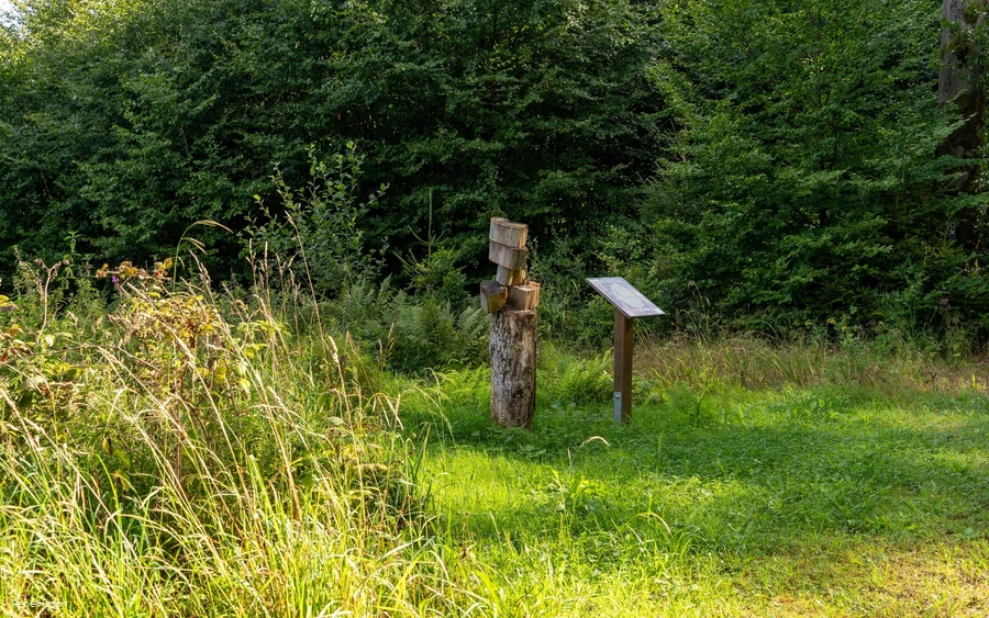 Verweil-Ort Lebensringe