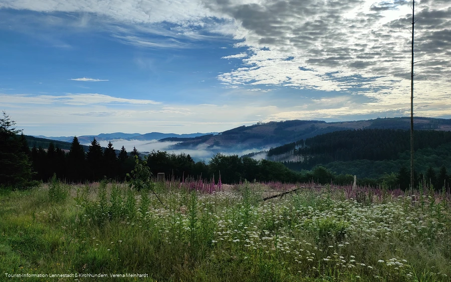 Ausblick von der Kophelle nach Kohlhagen