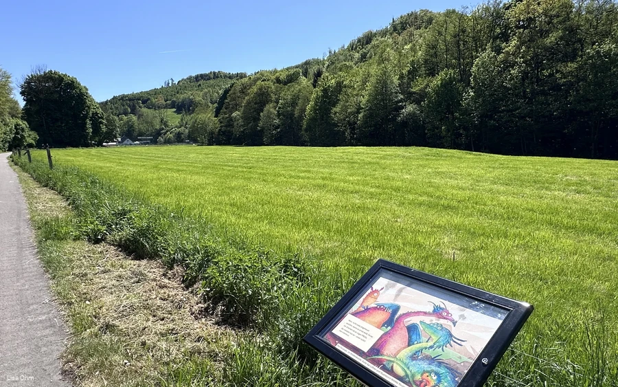 Veischeder Bilderbuchpfad_Weg