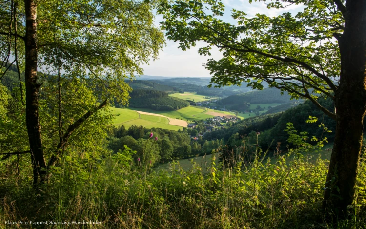 Wohnmobilstellplatz Volksbankarena-Sauerlandhalle — photo 3