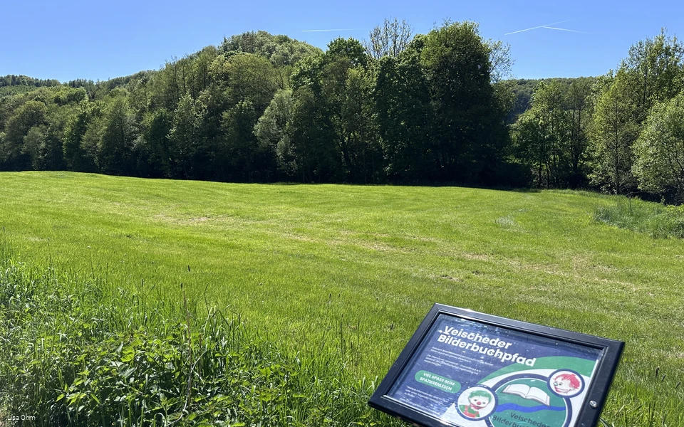 Veischeder Bilderbuchpfad_Wiese