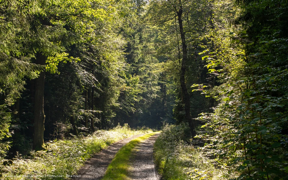 Wanderweg an der Einsiedelei