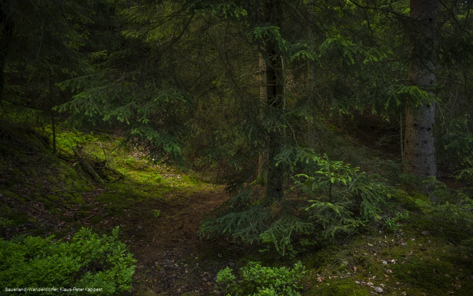 Sauerland-Seelenort Steinbruch am Schinkenkeller