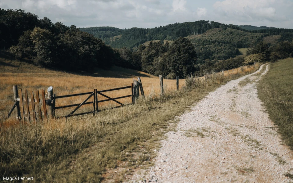 Wanderfolk