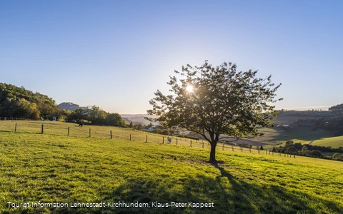 Sauerland-Seelenort Lausebuche