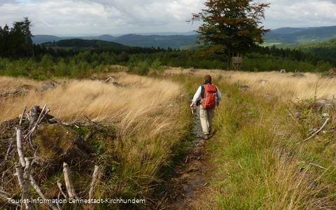 Wanderung Albaumer Klippen