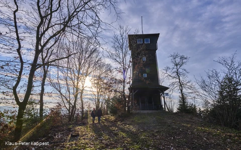 Wallburgturm in Lennestadt-Hachen