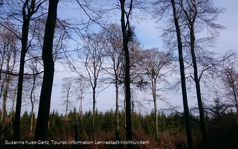 FFH Gebiet Apollmicke-Einsiedelei