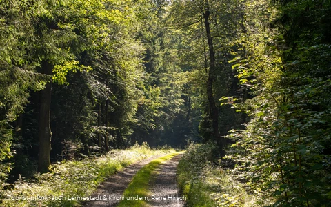 Wanderweg an der Einsiedelei