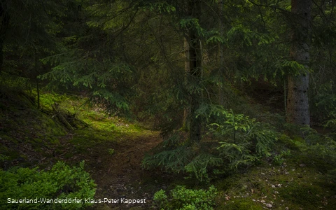 Sauerland-Seelenort Steinbruch am Schinkenkeller