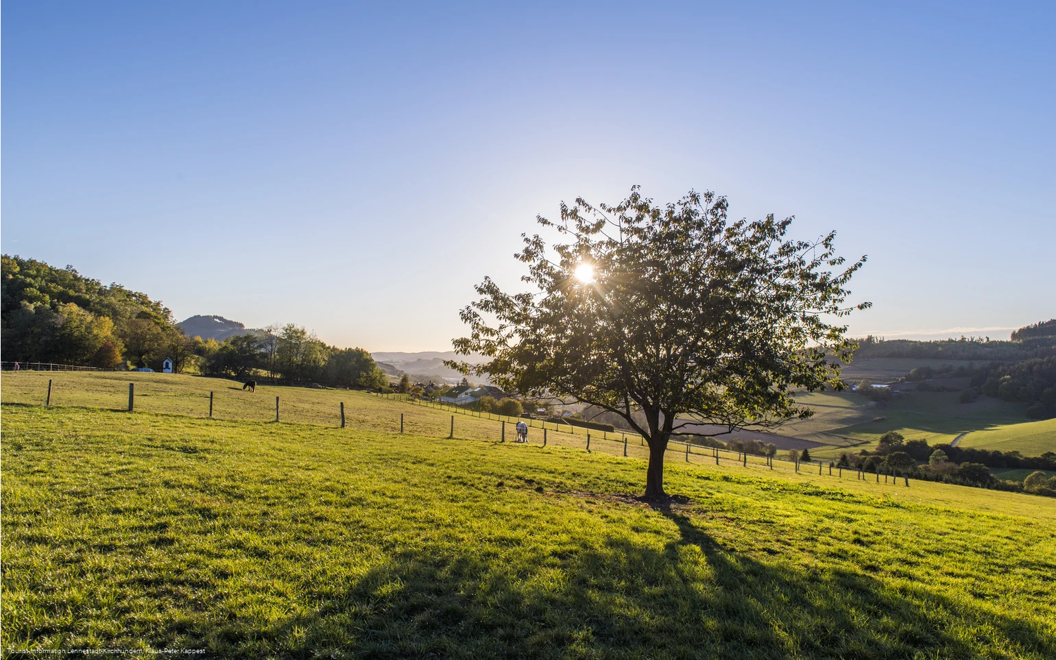 Sauerland-Seelenort Lausebuche