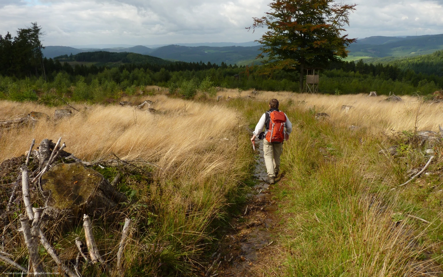 Wanderung Albaumer Klippen
