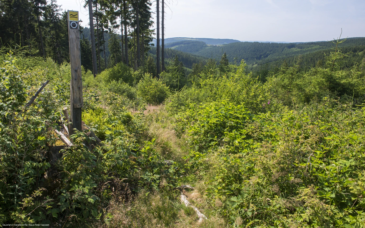 Aufstieg vom Krenkeltal zum Rothaarsteig