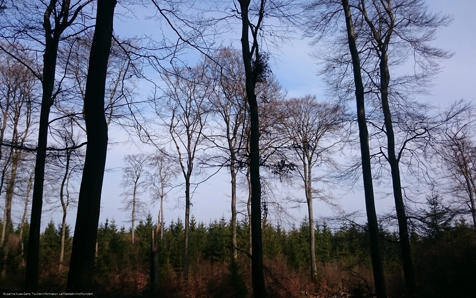 FFH Gebiet Apollmicke-Einsiedelei