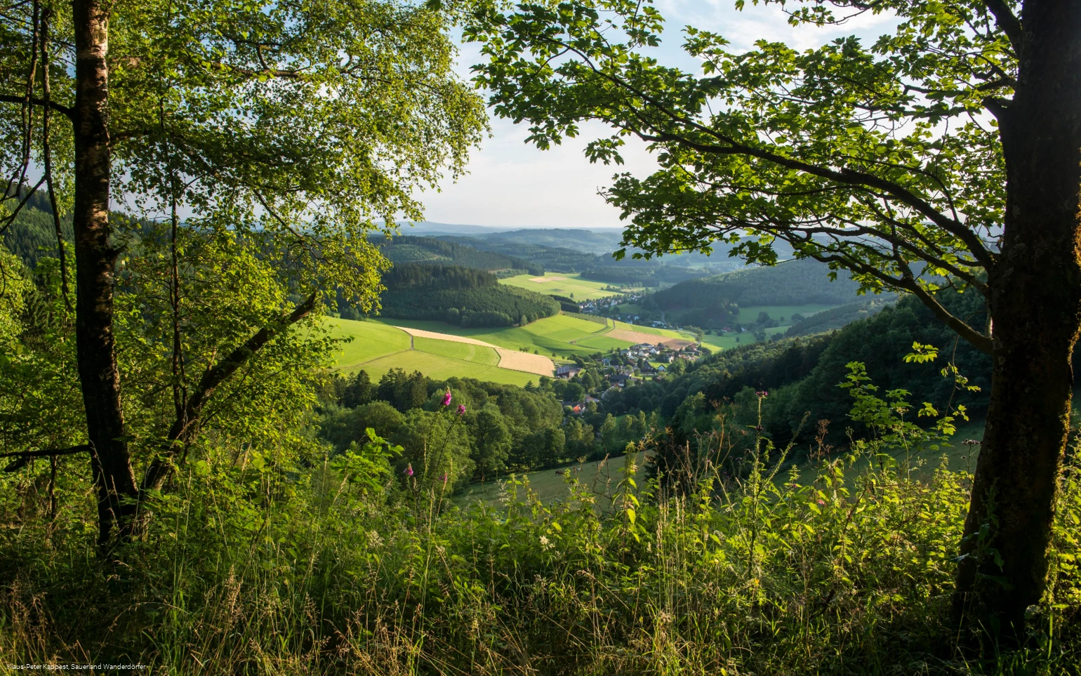 Aussicht am goldenen Zapfen in Siegerland