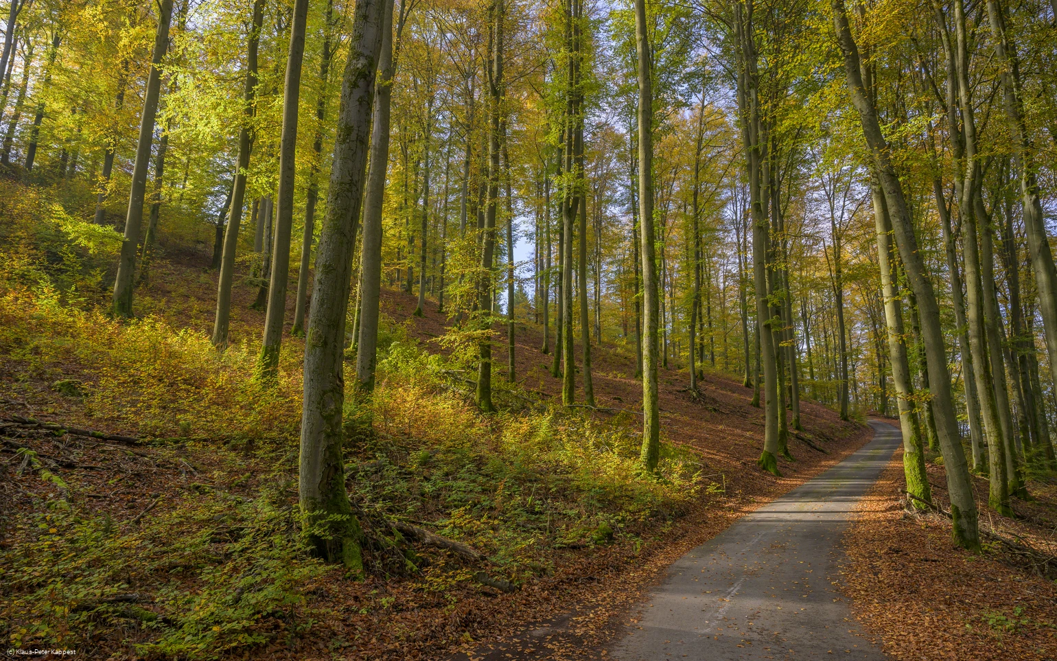 Herbststimmung bei Milchenbach
