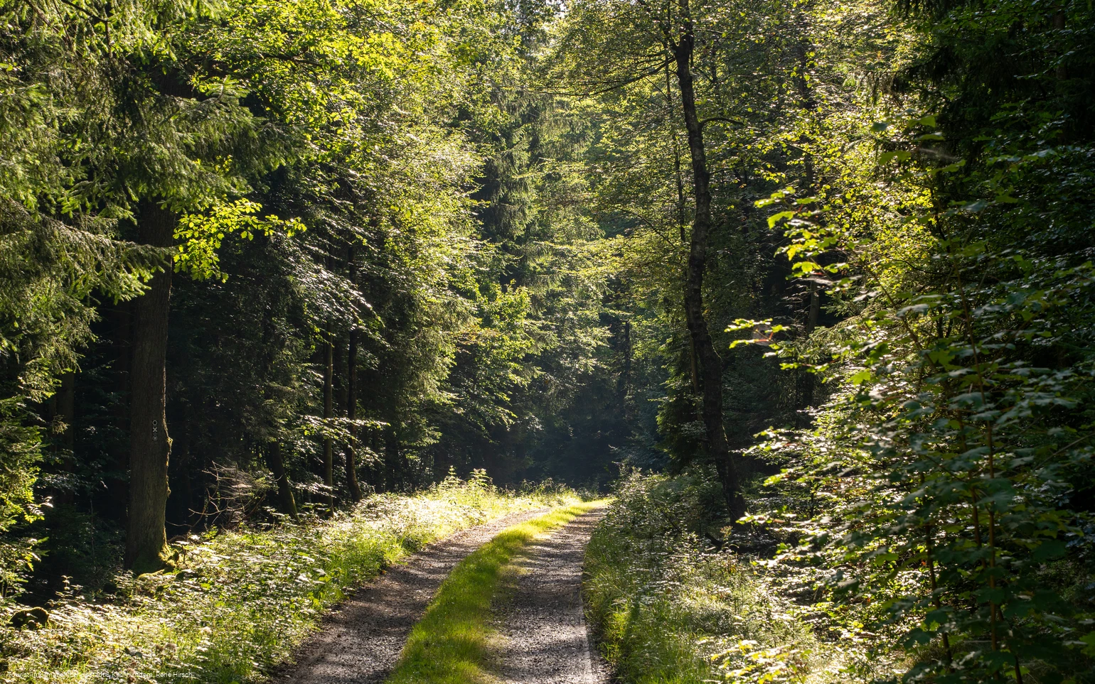 Wanderweg an der Einsiedelei
