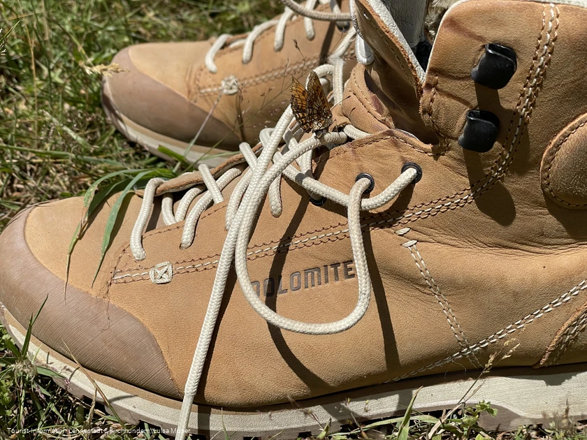 Wanderschuh mit Schmetterling