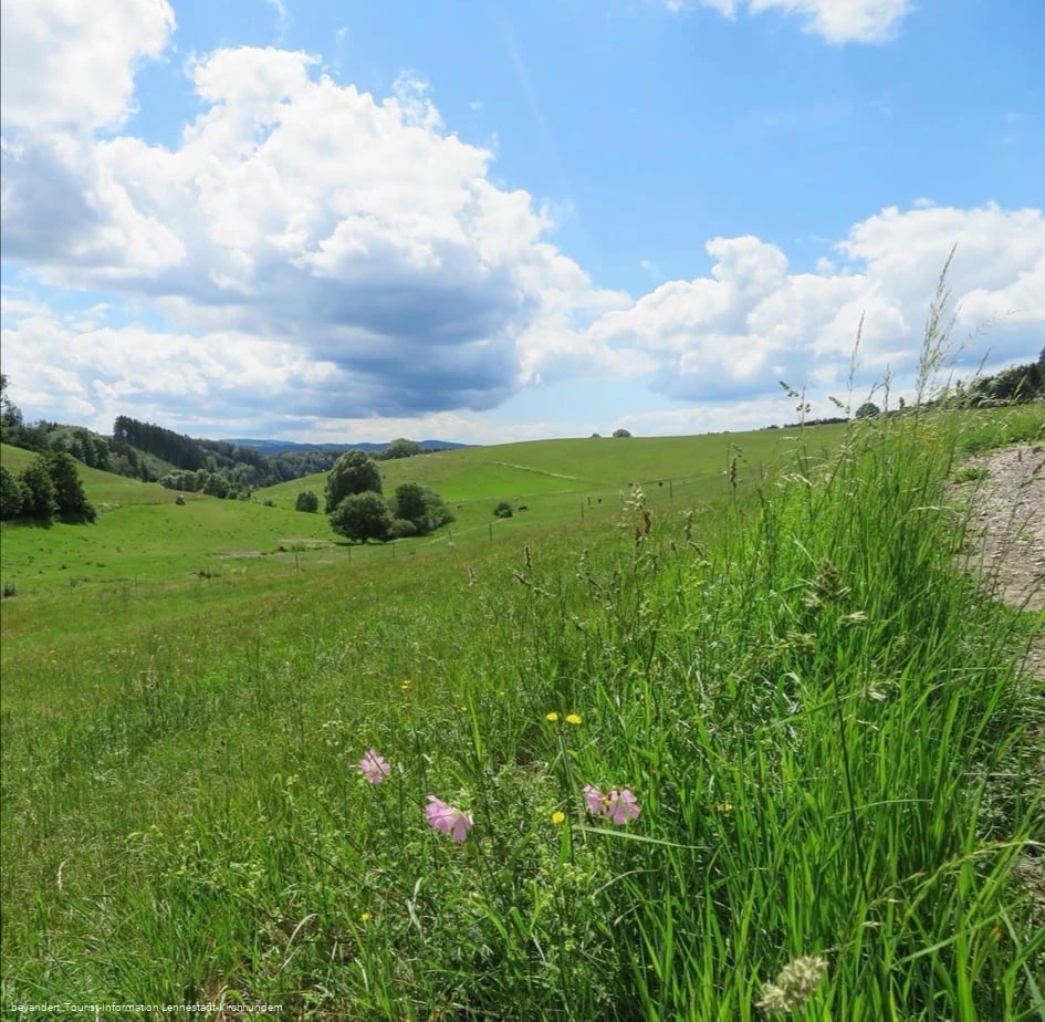 Rund um Elspe