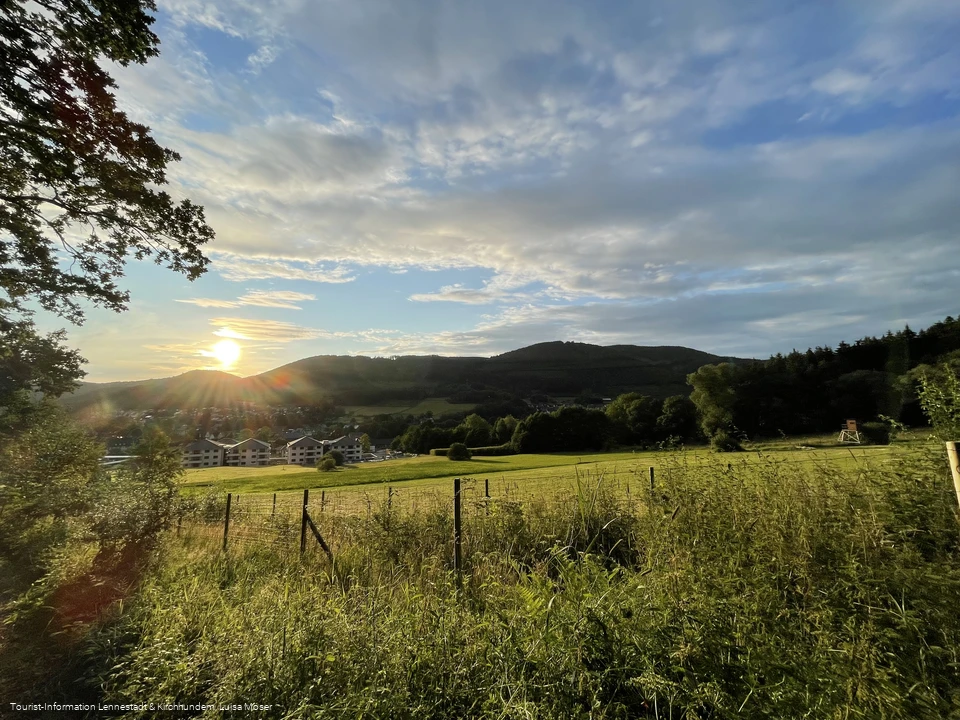 Blick auf Lennestadt