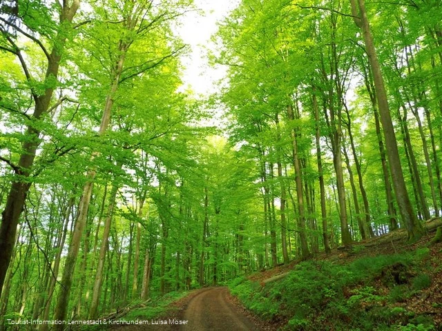 Tour Bundesgolddorf Milchenbach