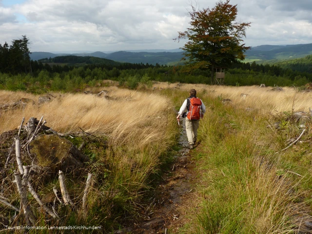 Wanderung Albaumer Klippen